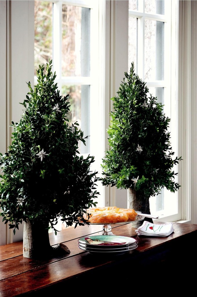 boxwood tabletop trees from Garden Bouquets and Beyond by Suzy Bales